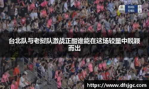 mk体育